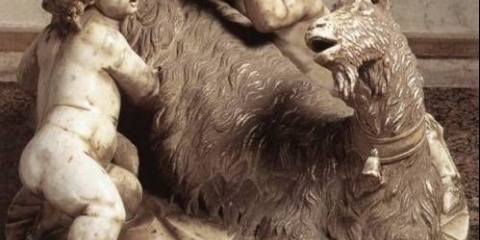 Kako odabrati mliječnu kozu